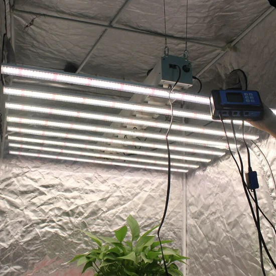 600W 800W 수경 식물 성장 램프 전체 스펙트럼 거미 1000W 1000W LED 온실용 빛 성장
