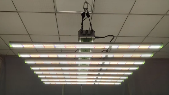 800W 수직 농업 스마트 제어 전체 스펙트럼 거미 조정 가능한 LED 실내 식물용 빛 성장